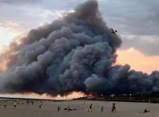 le 30 juillet 2020, feu de forêt à Chiberta à Anglet, un désastre!