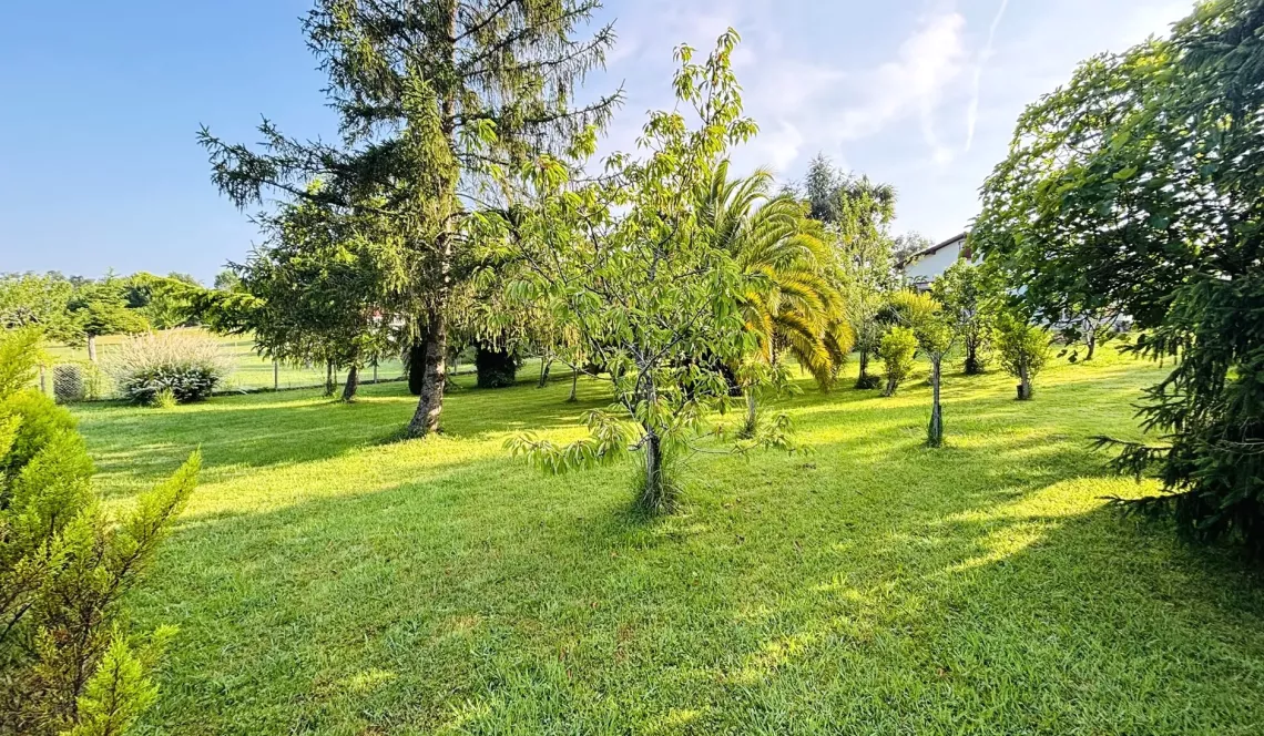 Bidache sur la hauteur - Dans un environnement unique plain-pied des années 86 de 72 m² habitable, pièce de vie de 23 m², 2 chambres, 2 garages + grenier aménageable sur 2500 m² de terrain