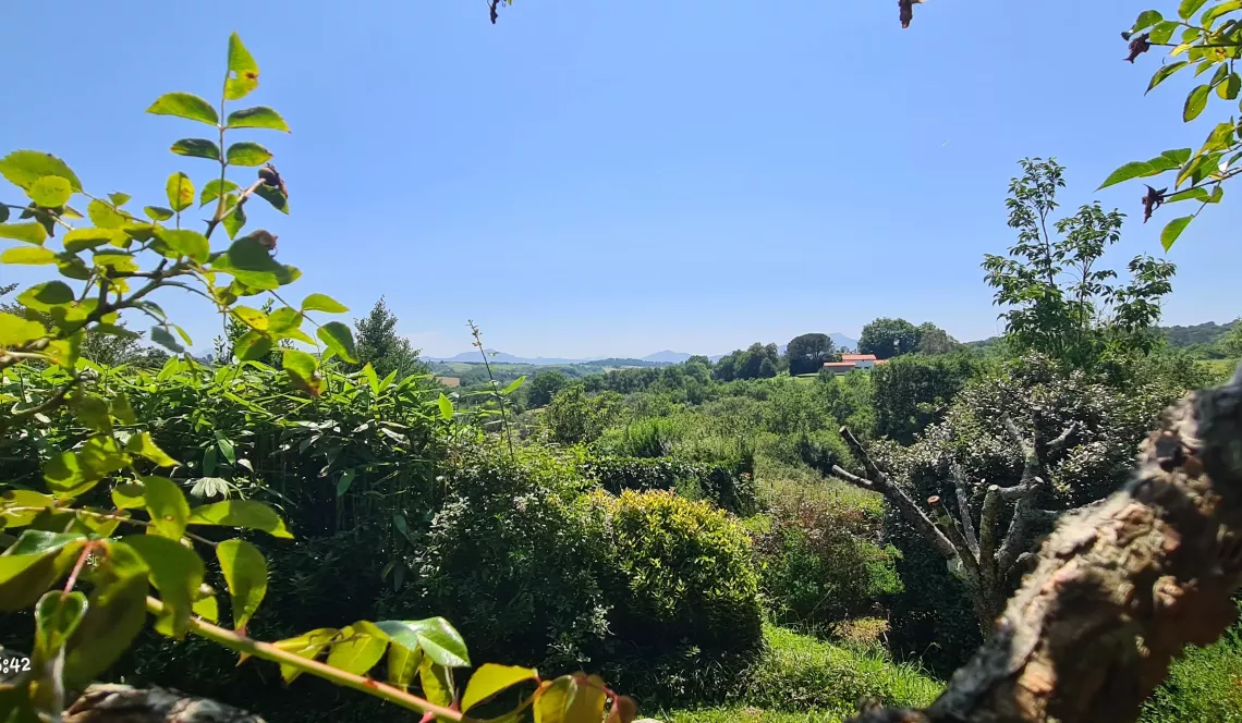 RARE sur Ustaritz sur la hauteur - Coup de coeur pour cette jolie villa de 145 m² H, 3 chambres, séjour avec vue sur la Rhune, parcelle de 2000 m² et son environnement unique