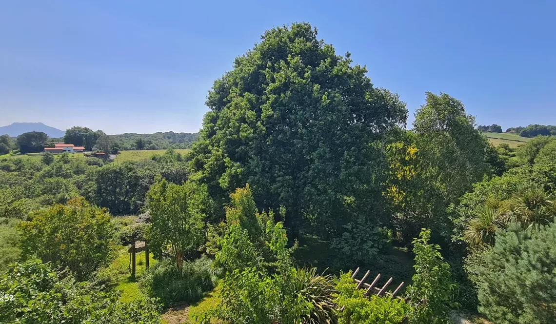 RARE sur Ustaritz sur la hauteur - Coup de coeur pour cette jolie villa de 145 m² H, 3 chambres, séjour avec vue sur la Rhune, parcelle de 2000 m² et son environnement unique