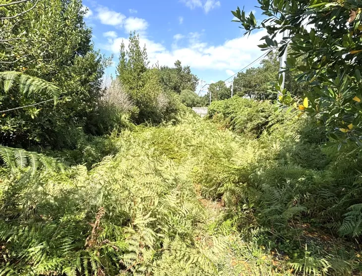 Seulement chez Donzacq Immo, à Labenne - Terrain à bâtir plat de 242 m², emprise au sol de 35%. Prévoir la viabilisation complète.