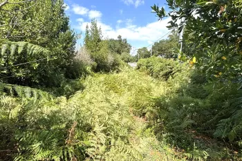 Seulement chez Donzacq Immo, à Labenne - Terrain à bâtir plat de 242 m², emprise au sol de 35%. Prévoir la viabilisation complète.