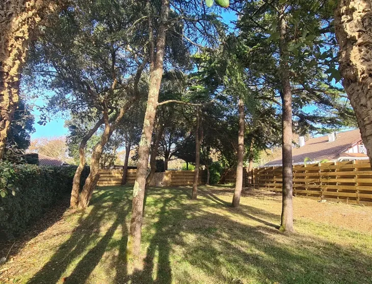 Labenne Océan - A 300 mètres de la plage, parcelle plate constructible de 623 m² avec 175 m² d’emprise au sol, libre constructeurs! A viabiliser.