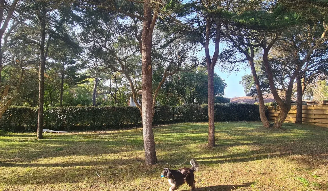 Labenne Océan - A 300 mètres de la plage, parcelle plate constructible de 623 m² avec 175 m² d’emprise au sol, libre constructeurs! A viabiliser.