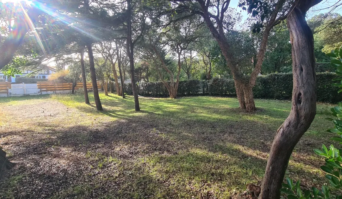 Labenne Océan - A 300 mètres de la plage, parcelle plate constructible de 623 m² avec 175 m² d’emprise au sol, libre constructeurs! A viabiliser.