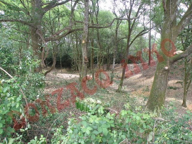 Vente - Terrain - AQUITAINE (40390) - Landes