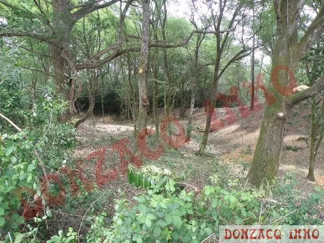 Vente - Terrain - AQUITAINE (40390) - Landes