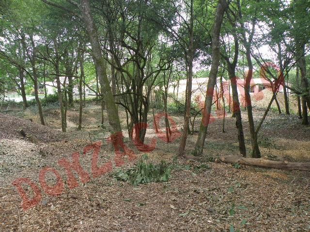 Vente - Terrain - AQUITAINE (40390) - Landes