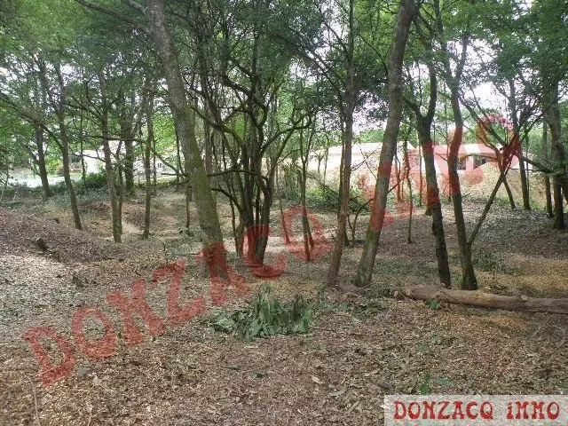 Vente - Terrain - AQUITAINE (40390) - Landes