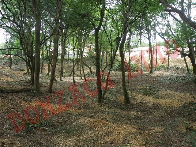 Vente - Terrain - AQUITAINE (40390) - Landes