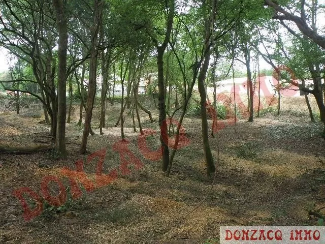 Vente - Terrain - AQUITAINE (40390) - Landes