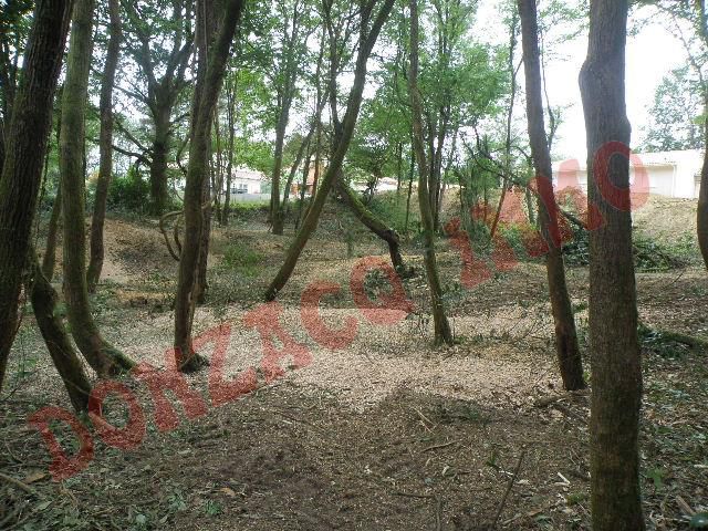 Vente - Terrain - AQUITAINE (40390) - Landes