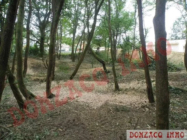 Vente - Terrain - AQUITAINE (40390) - Landes