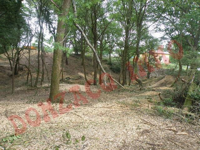 Vente - Terrain - AQUITAINE (40390) - Landes