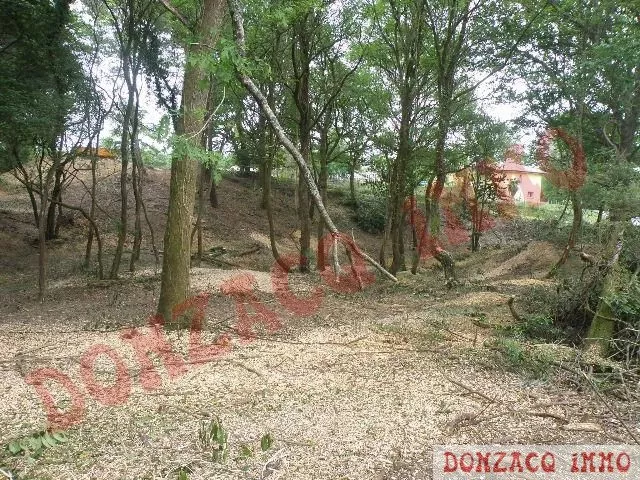 Vente - Terrain - AQUITAINE (40390) - Landes