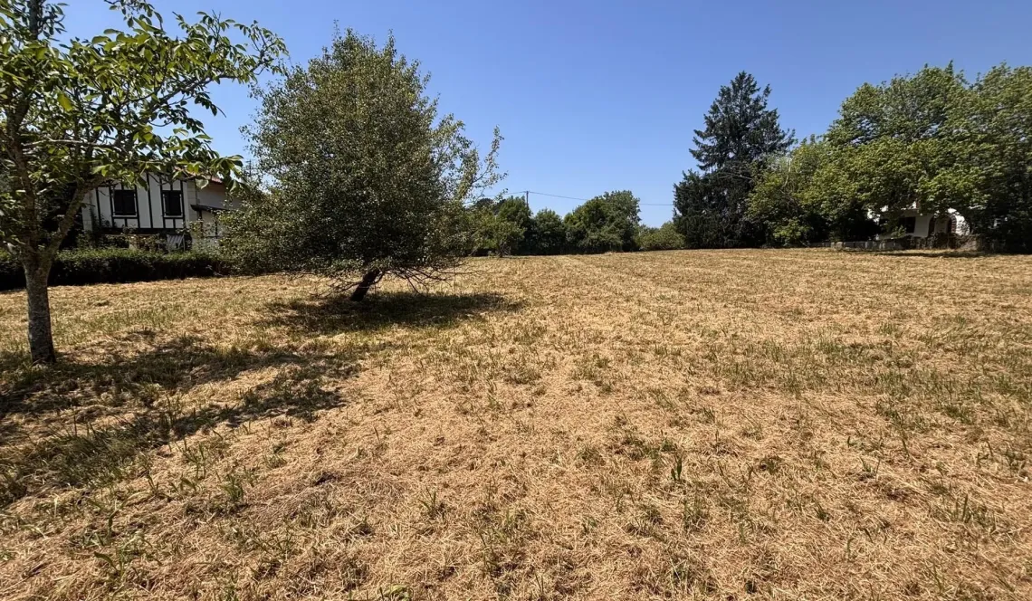 Rare sur Bassussarry - Parcelle à bâtir plate à viabiliser de 2 531m² plein sud avec vue sur les montagnes pour un projet hors du commun