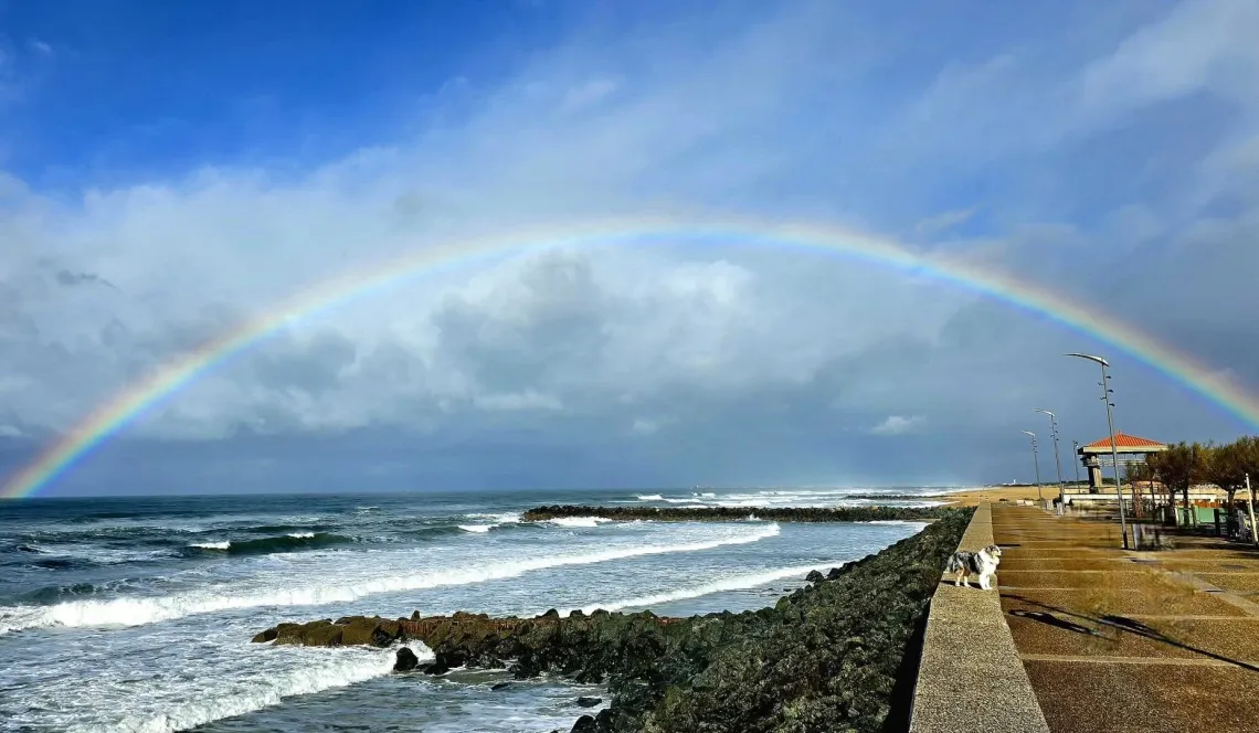 Anglet entre les plages et le golf - Emplacement unique pour ce joli type 2 de 22 m² habitable au dernier étage, terrasse + place de parking