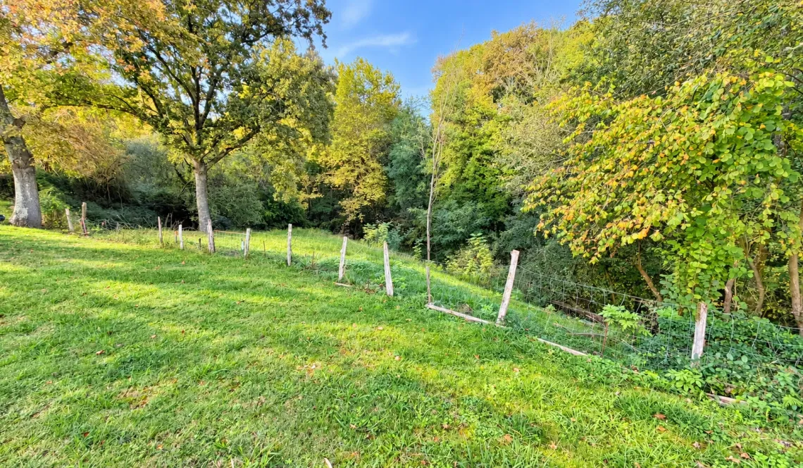Sur Saint Pierre d’Irube au calme le nez dans la forêt - Plain-pied de 88 m² habitable, pièce de vie de 32 m², 3 chambres, sous-sol avec garage sur 3 470 m² de terrain + garage indépendant