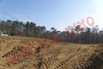 Vente - Terrain - AQUITAINE (40390) - Landes