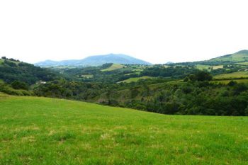 Vente - Terrain - AQUITAINE (64240) - Pays Basque