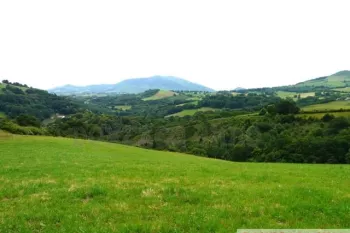 Vente - Terrain - AQUITAINE (64240) - Pays Basque