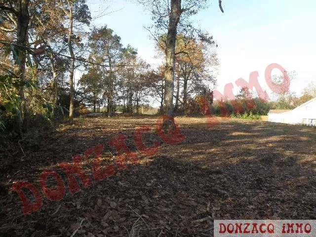 Vente - Terrain - AQUITAINE (40390) - Landes