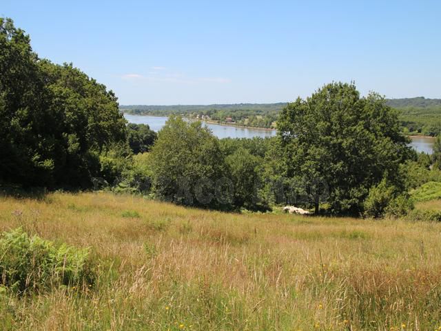 Vente - Terrain - AQUITAINE (64990) - Pays Basque