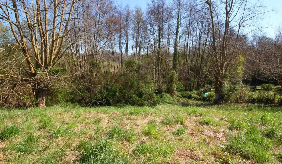 Saint Pierre d’Irube - Plain pied 3 chambres dans une impasse sur 1607 m² de terrain