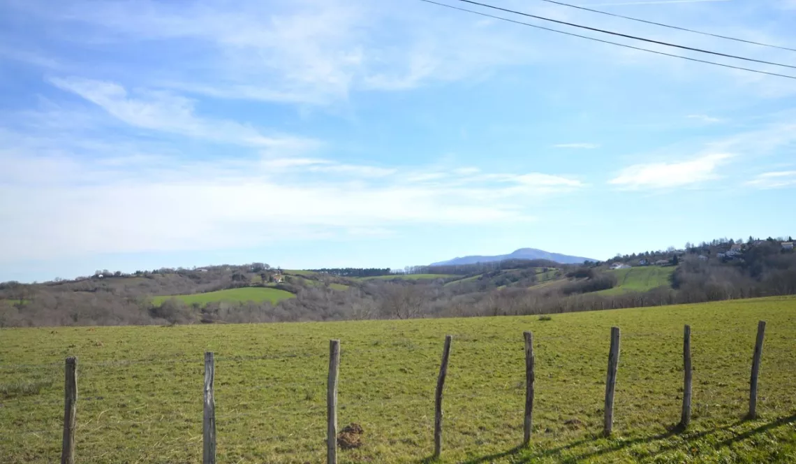 Hauteurs de Mouguerre - Jolie parcelle à bâtir d’environ 775 m² pour un plain-pied