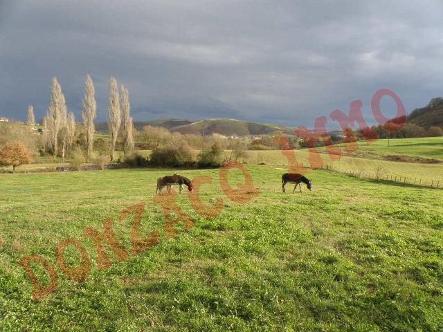 Vente - Propriété/Ferme/Moulin - AQUITAINE (64340) - Pays Basque