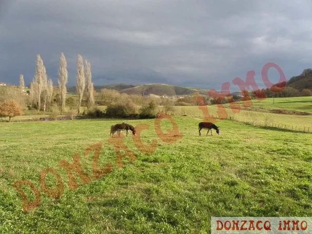 Vente - Propriété/Ferme/Moulin - AQUITAINE (64340) - Pays Basque