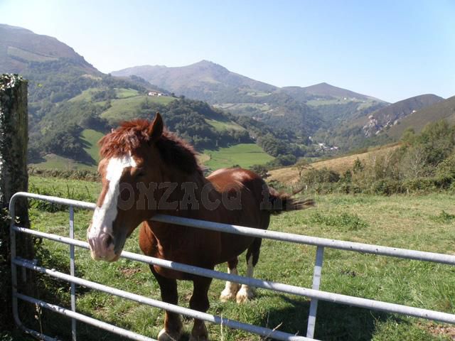 Vente - Propriété/Ferme/Moulin - AQUITAINE (64250) - Pays Basque