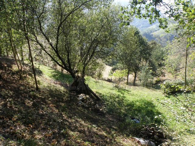 Vente - Propriété/Ferme/Moulin - AQUITAINE (64250) - Pays Basque