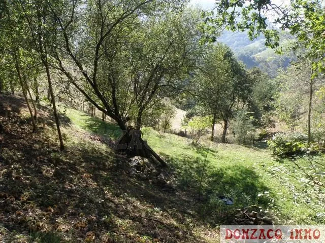 Vente - Propriété/Ferme/Moulin - AQUITAINE (64250) - Pays Basque