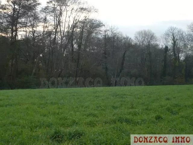 Vente - Terrain - AQUITAINE (40390) - Landes