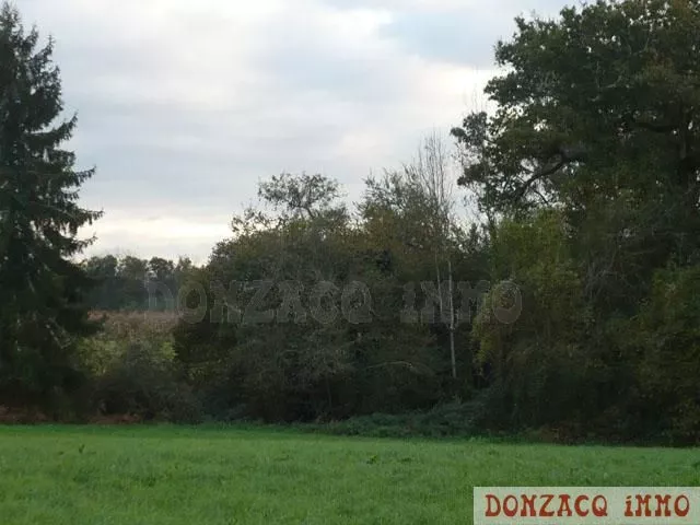 Vente - Terrain - AQUITAINE (40390) - Landes