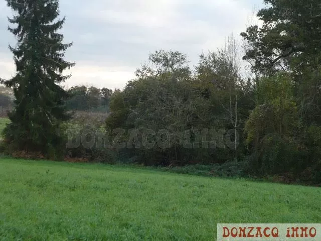 Vente - Terrain - AQUITAINE (40390) - Landes