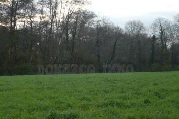 Vente - Terrain - AQUITAINE (40390) - Landes