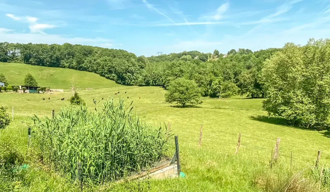 Briscous - Endroit paradisiaque pour cette ferme de 245 m² habitable, 4 chambres + gîte indépendant sur parcelle de 1 hectare + piscine + garage