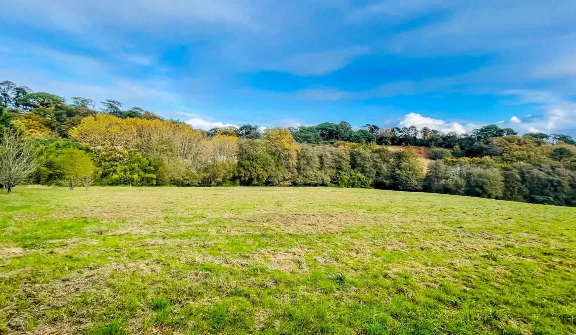 RARE sur Biarritz - Parcelle à bâtir avec hangar de 200 m², terres et prairies pour 3 hectares et 8 394 m² pour un projet d’enfer! 