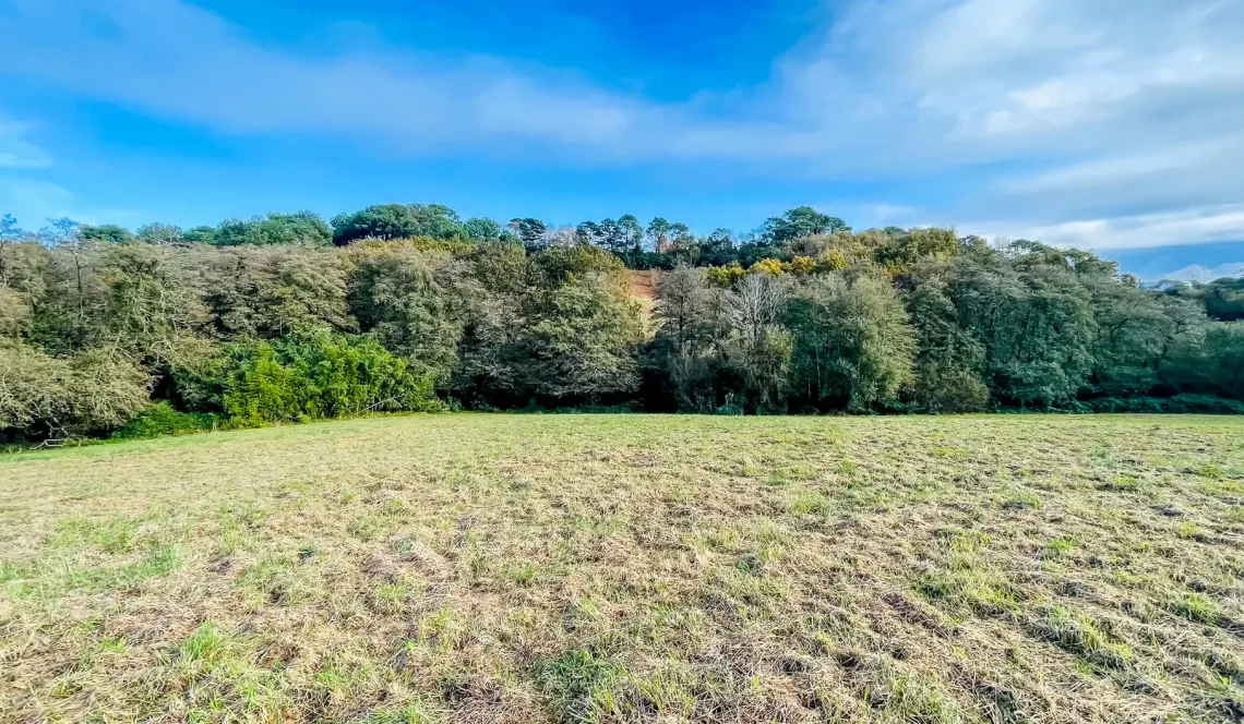 RARE sur Biarritz - Parcelle à bâtir avec hangar de 200 m², terres et prairies pour 3 hectares et 8 394 m² pour un projet d’enfer! 