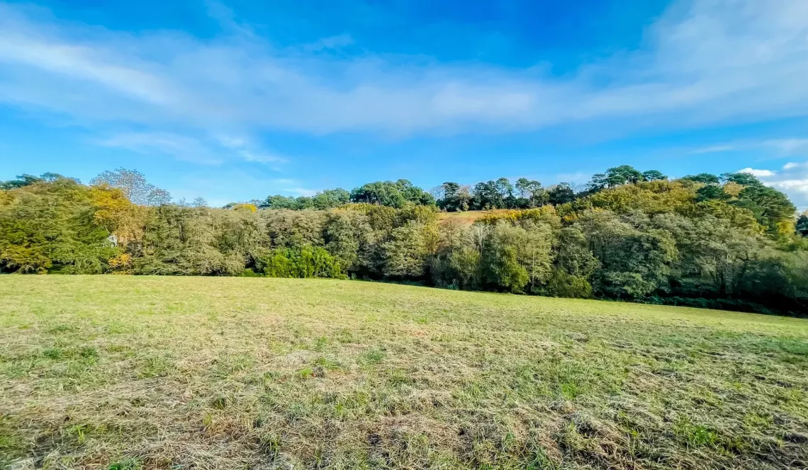 RARE sur Biarritz - Parcelle à bâtir avec hangar de 200 m², terres et prairies pour 3 hectares et 8 394 m² pour un projet d’enfer! 