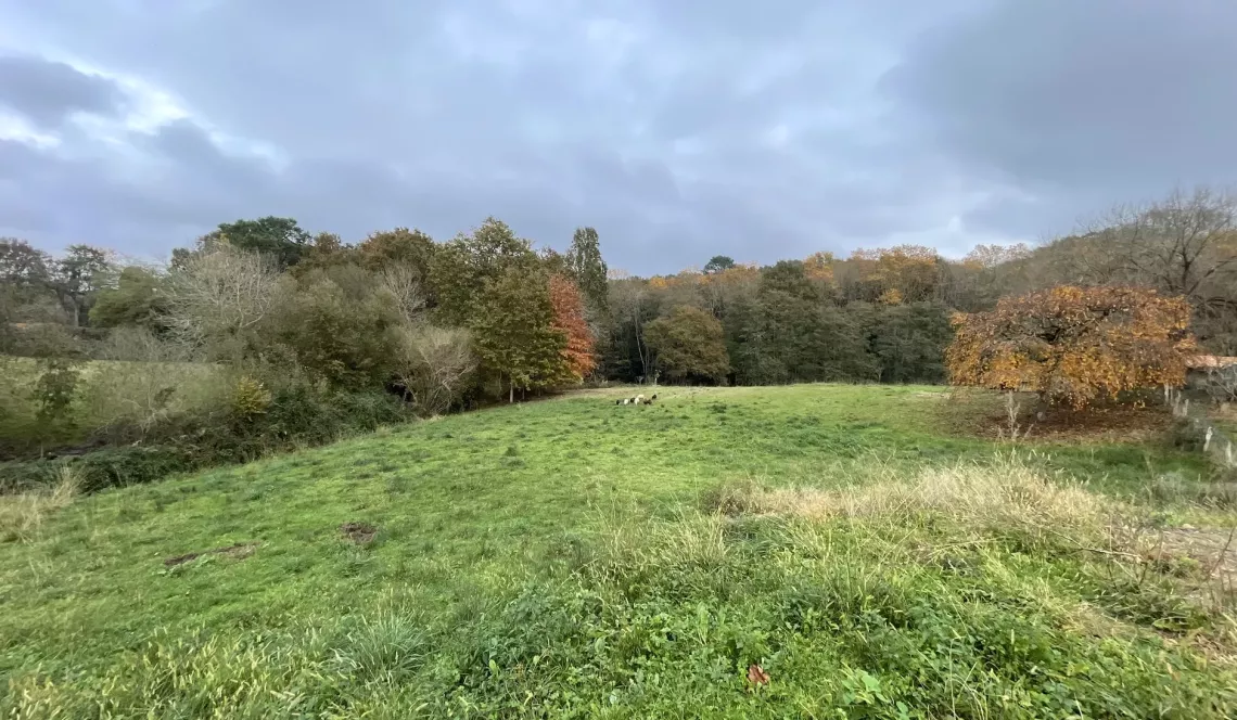 Arcangues le Chapelet - Parcelle à bâtir de 1249 m² viabilisée + 3 913 m² de prairies, le nez dans la forêt 