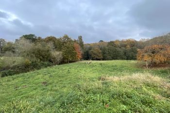 Arcangues le Chapelet - Parcelle à bâtir de 1249 m² viabilisée + 3 913 m² de prairies, le nez dans la forêt 