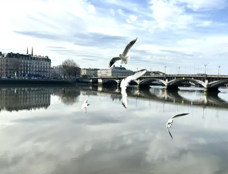 Rare à Bayonne St Esprit - Vue époustouflante pour ce beau type 4 de 74 m² habitable en très bon état général, cuisine équipée, 3 chambres, balcon tout en long