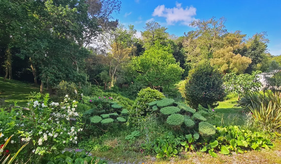 RARE à Ondres à l’abri des regards - Magnifique propriété de 139 m² habitable en parfait état et ses trois chambres sur splendide parcelle arborée de 5 500 m² + garages. Il faut le voir pour le croire!