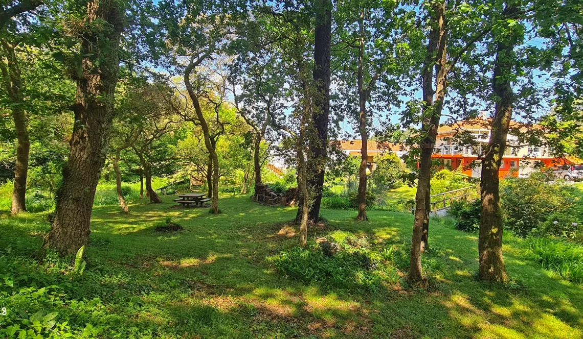 RARE à Ondres à l’abri des regards - Magnifique propriété de 139 m² habitable en parfait état et ses trois chambres sur splendide parcelle arborée de 5 500 m² + garages. Il faut le voir pour le croire!