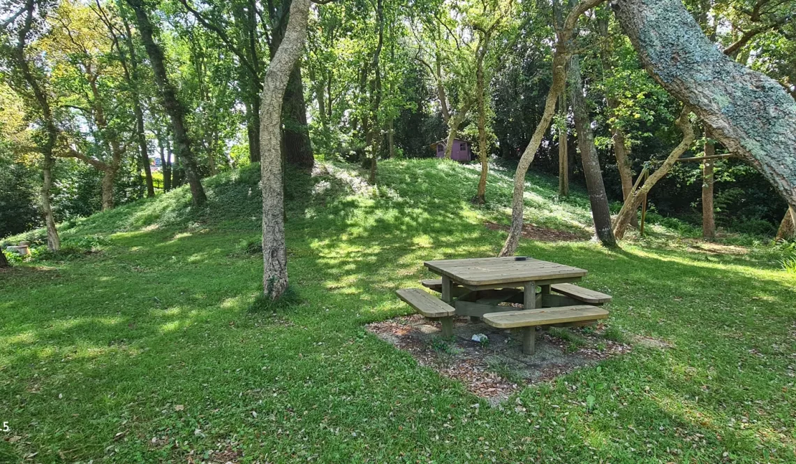 RARE à Ondres à l’abri des regards - Magnifique propriété de 139 m² habitable en parfait état et ses trois chambres sur splendide parcelle arborée de 5 500 m² + garages. Il faut le voir pour le croire!
