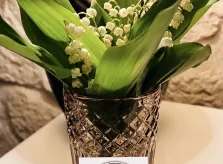 Bon 1er MAI à toutes et tous!