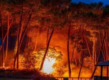 le 30 juillet 2020, feu de forêt à Chiberta à Anglet, un désastre!